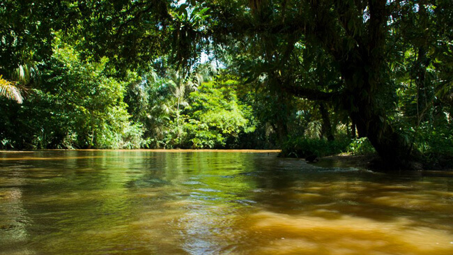 Parque Nacional Barbilla